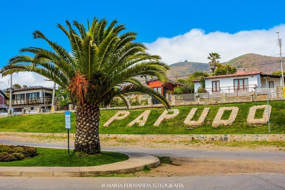 Haydee Lomas De Papudo IVアパートメント エクステリア 写真